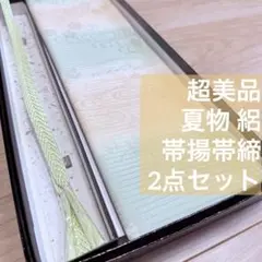 超美品　夏物　正絹　帯揚げ　帯締め 2点セット　着物小物　絽　呂　薄緑　柳色　白