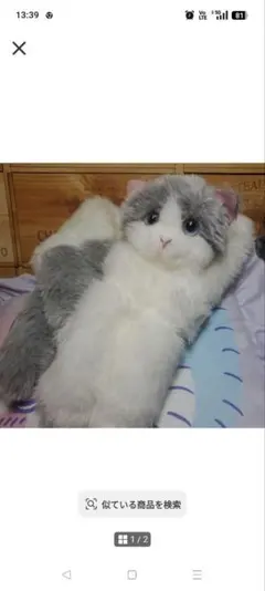 猫 マフラー
