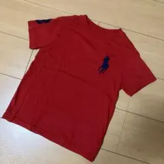【POLO】キッズTシャツ 115cm