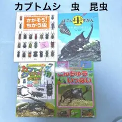 昆虫絵本　4冊　セット　カブトムシ　クワガタ　虫　図鑑　虫博士　絵本　写真　美品