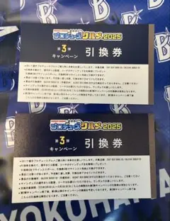横浜DeNAベイスターズ　プロデュースグルメ　第3弾キャンペーン　引換券2枚