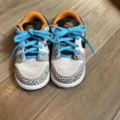 Nike SB Dunk Low Pro エレクトリックサファリ