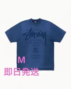 Stussy World Tour Tee 