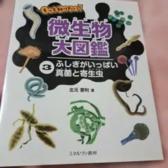 もっと知りたい!微生物大図鑑 3 (ふしぎがいっぱい真菌と寄生虫)