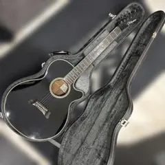 Takamine エレアコ 長渕剛