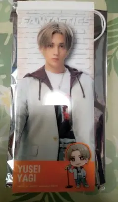 八木勇征　タペストリー