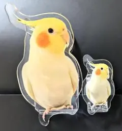 2026年最新】オカメインコ ハンドメイドの人気アイテム - メルカリ