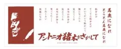 Kita様 リクエスト 3点 まとめ商品