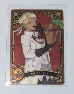 ツイステ　カリムアルアジーム　カード