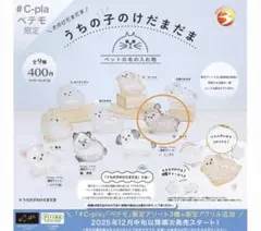 チキ様 リクエスト 2点 まとめ商品