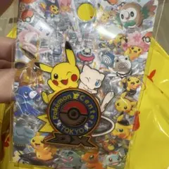 限定 ポケモンセンタートウキョーDX ロゴピンズ