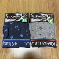 Item thumbnail for item 6129c101-7faf-42bd-98d8-4384384c41e8