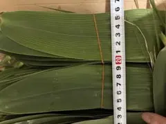 粽の葉 ちまき 葦の葉 ちまき用 100枚 粽叶 粽子叶 - メルカリ