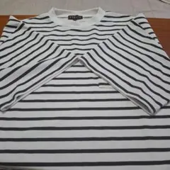 ETELIO ホワイト/グレー ストライプ Tシャツ M