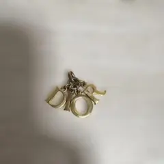 DIORメンズ チャーム美品/ネックレス 革紐付き 断捨離中 - メルカリ