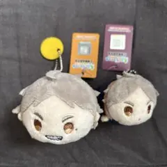 2025年最新】もちもちマスコット 菅原の人気アイテム - メルカリ