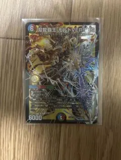 双龍覇王 モルトVERSUS