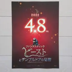 ファンタスティック・ビーストとダンブルドアの秘密 映画チラシ フライヤー
