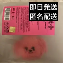 《TXT ボムギュ》プルバトゥ フェイスキーリング バムグッ