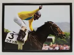 競馬 ウオッカ パネル Record Folder