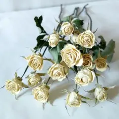 ⭐️❤︎グランオマージュ白❤︎⭐️ドライフラワーバラ❤︎⭐️ドライ