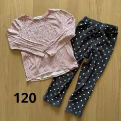 小花柄トップスとドット柄パンツ セット