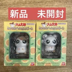 とっとこハム太郎どーる　セット