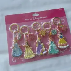 【新品】ディズニーランド プリンセス キーチェーン アイシングクッキー 5個のサムネイル