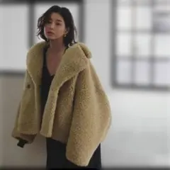 Y ETRÉ ブラウン ファーコート　ジャケット 中古・古着通販】ETRE TOKYO (エトレトウキョウ) フェイクシープファー