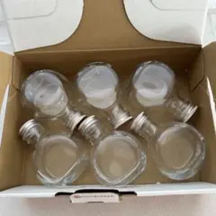 ハーバリウム瓶　ねこ100ml×6本