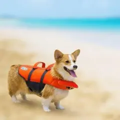 【USメーカー犬用ライフジャケット】アウトワード オレンジ　サイズ：XSのサムネイル