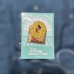 ディズニー リゾートライン ピンバッジ 30周年 - メルカリ