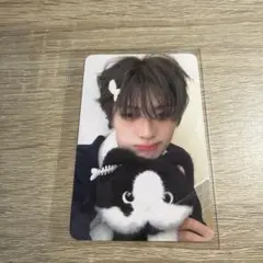 ALD1 シンロン hellolive 特典 猫に鰹節 トレカ メルカリ