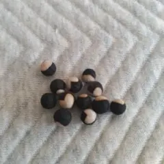 フウセンカズラ 種 約50粒