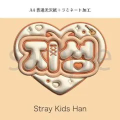 スキズ ハン ジソン ぷっくり ネームボード オーダー 韓国 文字パネルのサムネイル