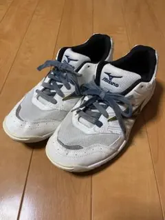 上履き 体育器具