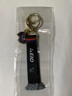 FC東京 京王電鉄コラボ キーホルダー