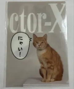 Item thumbnail for item b09f4498-b8fa-4840-9959-e9c37e159963