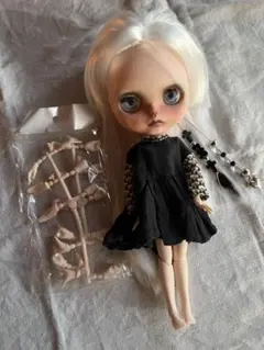 カスタムアイシードール お洋服付き　ホワイトヘア 青い目