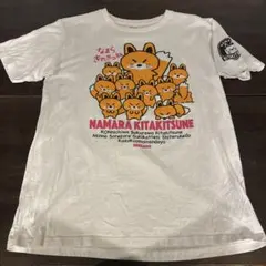 北海道 きたきつね Tシャツ 半袖 なまらきたきつね L