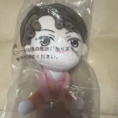 SEVENTEEN セブチ一番くじ Petiteen JUN ジュン ぬいぐるみ