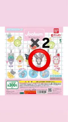 JOCHUM めじるしアクセサリー ガチャガチャ チュララ2個セット