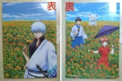 銀魂　コレクションファイル(クリアファイル15枚入り)