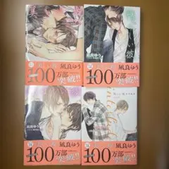 美品【4巻セット】BL小説 美しい彼 凪良ゆう