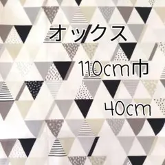 Item thumbnail for item 93fb4b06-66dd-43ef-8623-3827e3324355