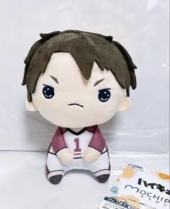 ハイキュー もちぴこぬいぐるみ 牛島若利