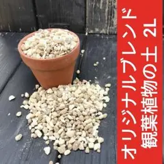 観葉植物の土　オリジナルブレンド2リットル　匿名配送のサムネイル