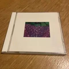 渡辺典子 サラダ記念日 CD