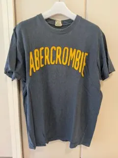2*M様 【古着】ABERCROMBIE TシャツМサイズ