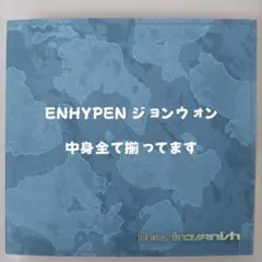 ジョンウォンTHE SIN : VANISH (FUGITIVES Ver.)